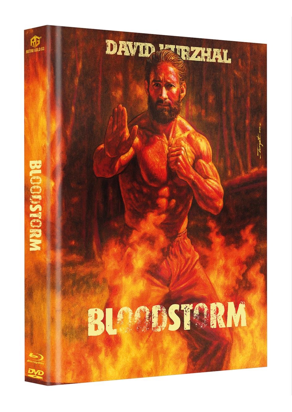 Bloodstorm Bluray Special Edition Mediabook Cover B (German Import)