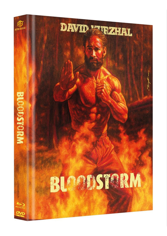 Bloodstorm Bluray Special Edition Mediabook Cover B (German Import)